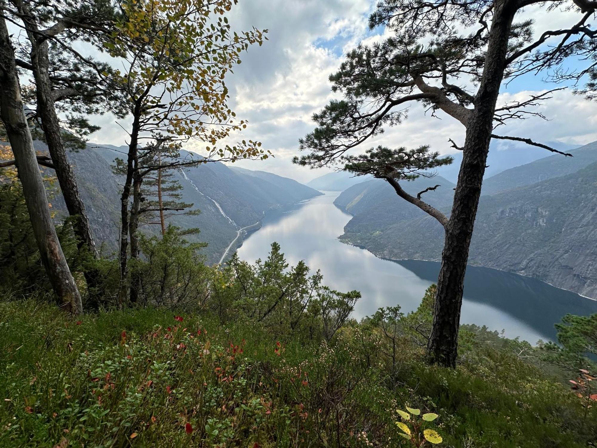 Fjæra Akrafjorden Nature B&B As מראה חיצוני תמונה